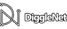 DiggleNet